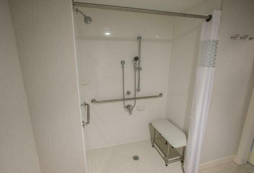 Номер Стандарт Кровать Кинг Адаптированный для Инвалидов, Hampton Inn By Hilton Amesbury