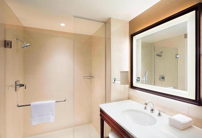 이그제큐티브 스위트 킹침대, Sheraton Austin Georgetown Hotel & Conference Center