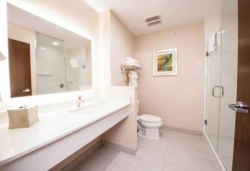 Люкс, Fairfield Inn & Suites By Marriott Dallas Plano North