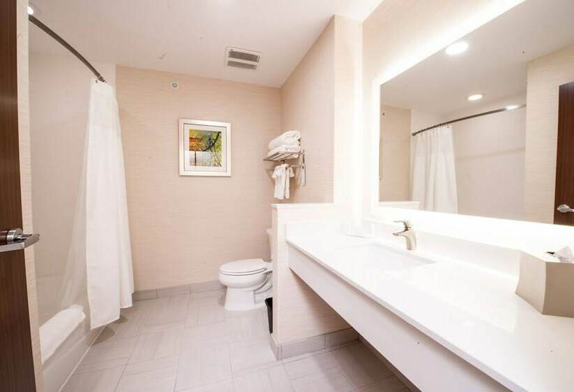 Люкс, Fairfield Inn & Suites By Marriott Dallas Plano North