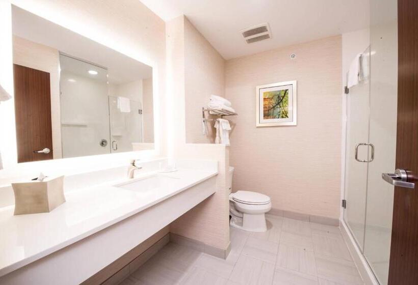 Стандартный Номер Кровать Кинг, Fairfield Inn & Suites By Marriott Dallas Plano North