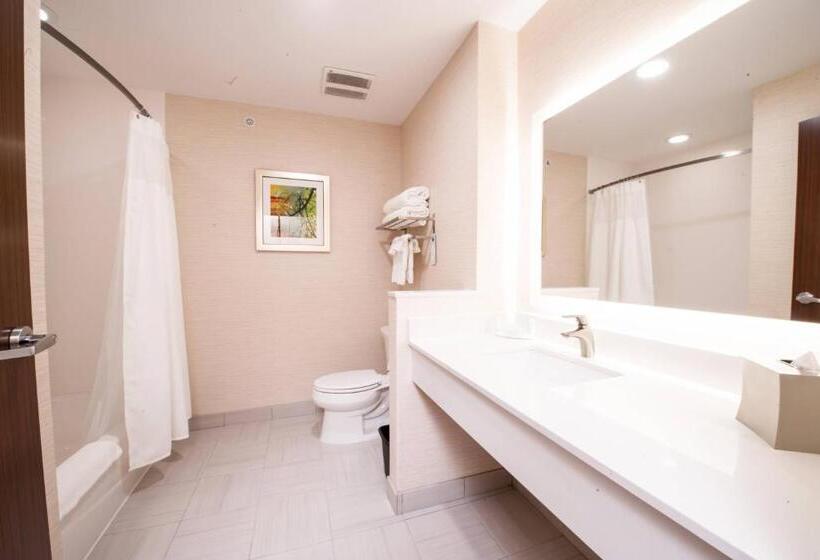 Номер Стандарт, Fairfield Inn & Suites By Marriott Dallas Plano North