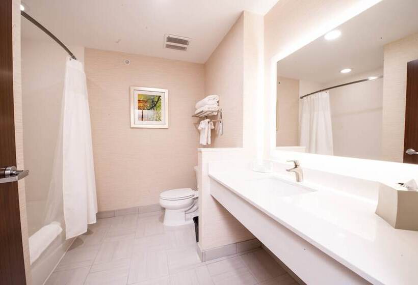 Люкс, Fairfield Inn & Suites By Marriott Dallas Plano North