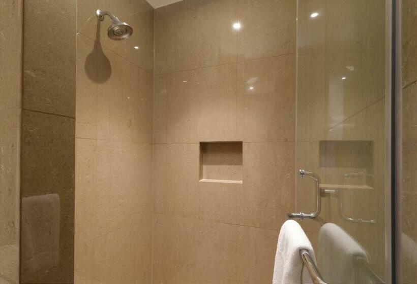 اتاق استاندارد با تخت بزرگ, Holiday Inn Express & Suites Monterrey Valle, An Ihg