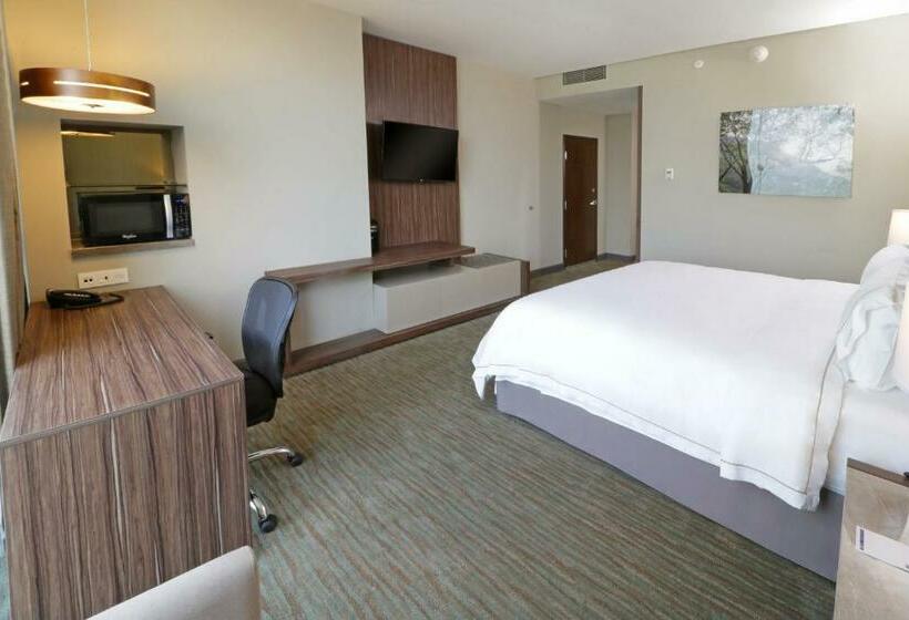 اتاق استاندارد با تخت بزرگ, Holiday Inn Express & Suites Monterrey Valle, An Ihg