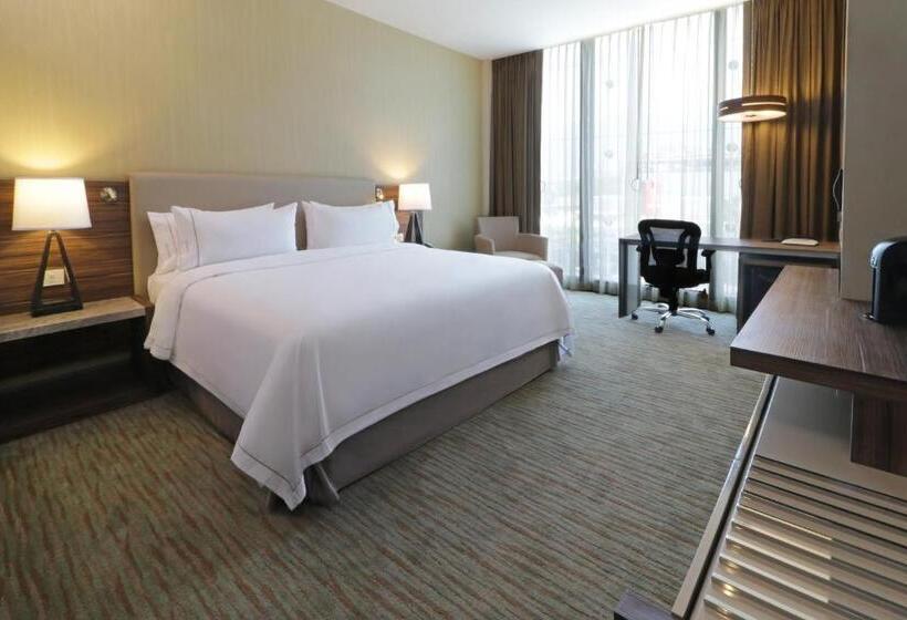 اتاق استاندارد با تخت بزرگ, Holiday Inn Express & Suites Monterrey Valle, An Ihg