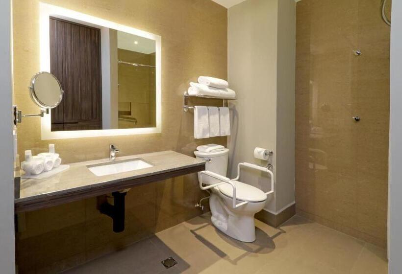 اتاق استاندارد برای معلولان, Holiday Inn Express & Suites Monterrey Valle, An Ihg