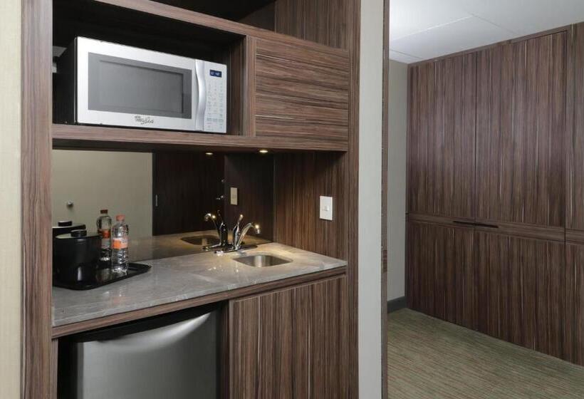 سوئیت با تخت بزرگ, Holiday Inn Express & Suites Monterrey Valle, An Ihg