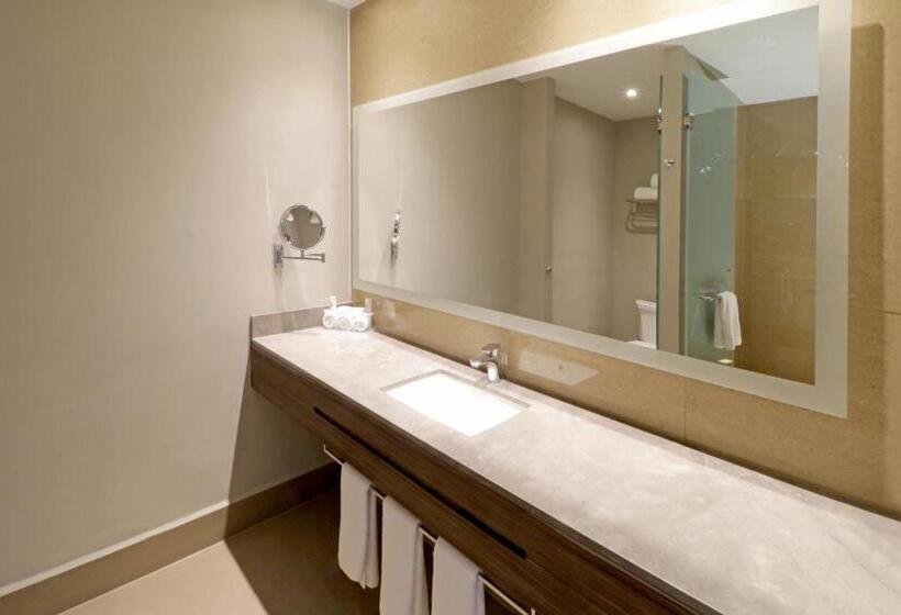 سوئیت با تخت بزرگ, Holiday Inn Express & Suites Monterrey Valle, An Ihg