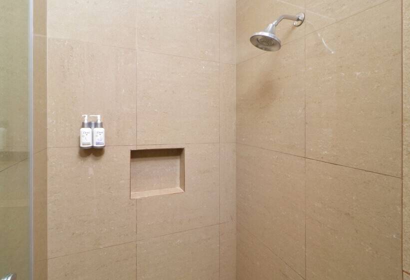 اتاق استاندارد, Holiday Inn Express & Suites Monterrey Valle, An Ihg