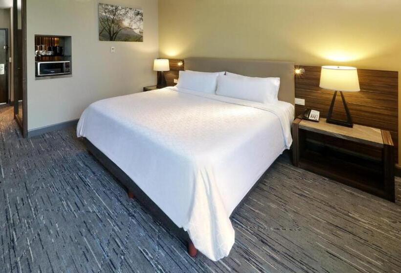 اتاق استاندارد برای معلولان, Holiday Inn Express & Suites Monterrey Valle, An Ihg