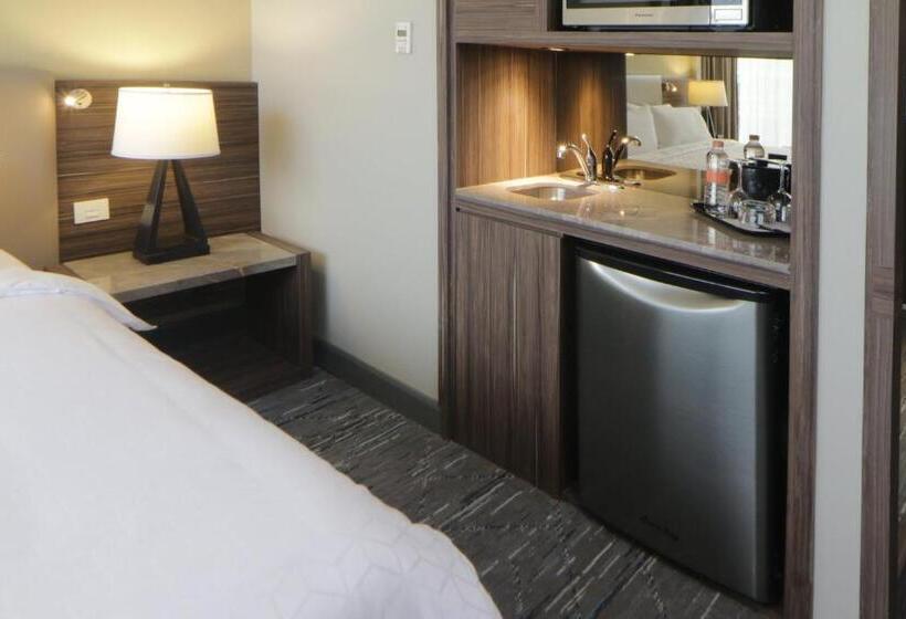 سوییت, Holiday Inn Express & Suites Monterrey Valle, An Ihg