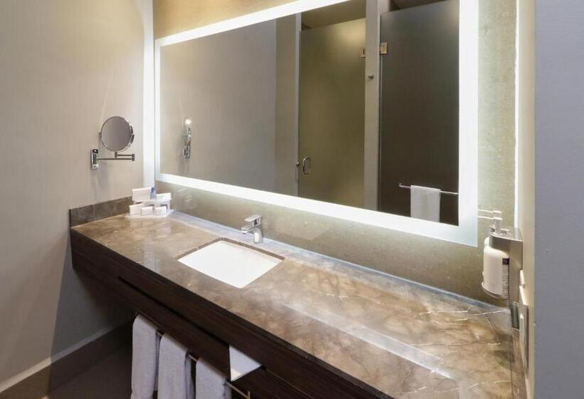 سوییت, Holiday Inn Express & Suites Monterrey Valle, An Ihg
