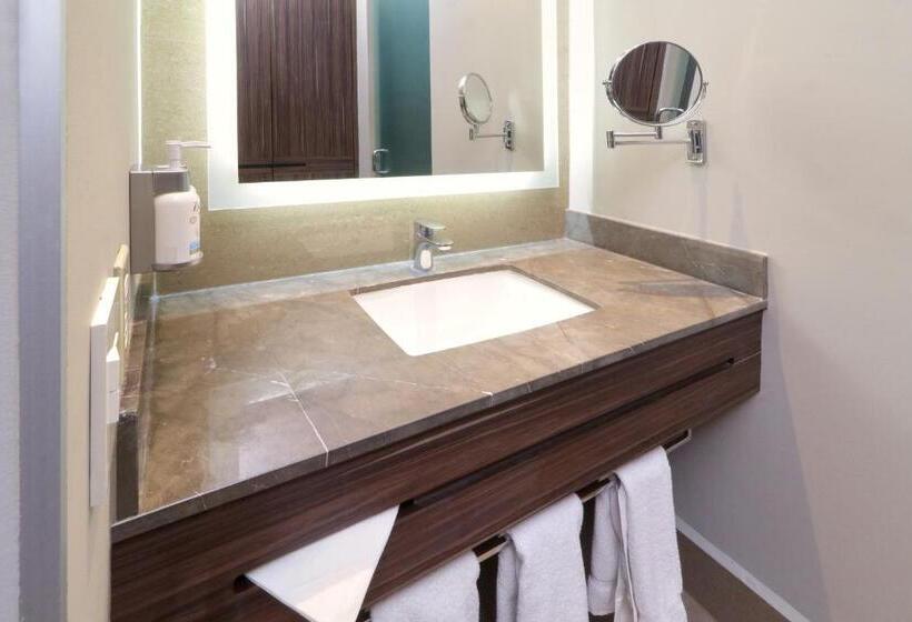 سوئیت با تخت بزرگ, Holiday Inn Express & Suites Monterrey Valle, An Ihg