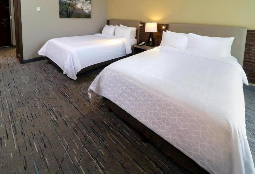 اتاق استاندارد با چشم‌انداز کوهستان, Holiday Inn Express & Suites Monterrey Valle, An Ihg
