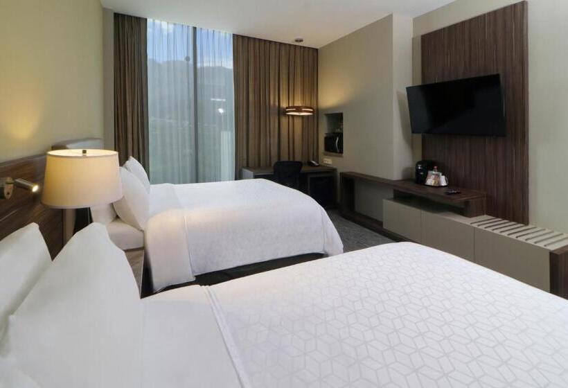اتاق استاندارد با چشم‌انداز کوهستان, Holiday Inn Express & Suites Monterrey Valle, An Ihg