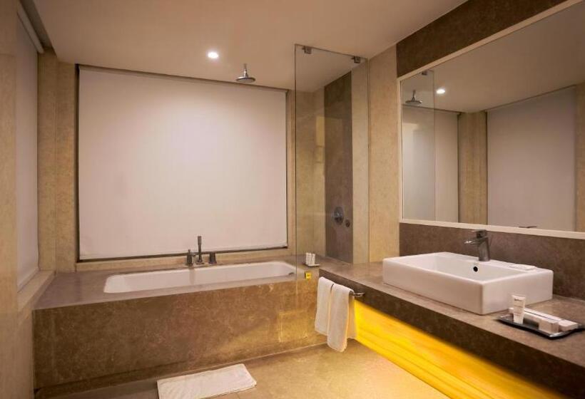 商务房间, Radisson Udaipur