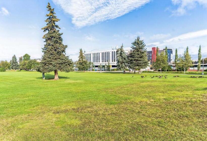 Студия Стандарт, Highliner Hotel  King Suite 312 With City View Hotel Room