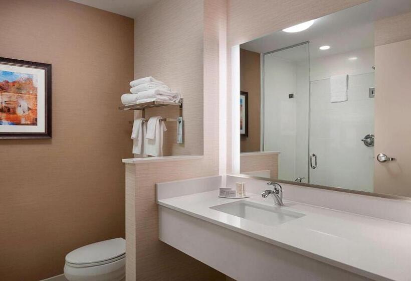 스탠다드 룸 킹사이즈 침대, Fairfield Inn & Suites By Marriott Rock Hill