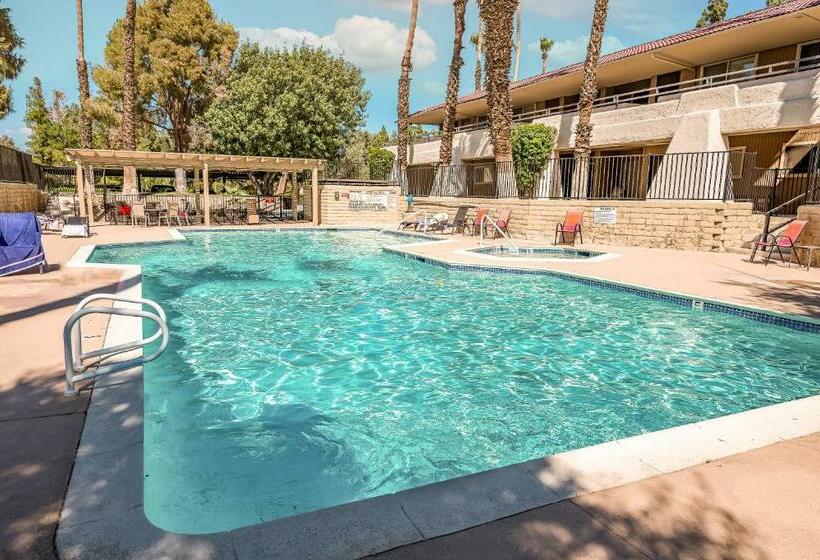 آپارتمان 1 خوابه همکف, Palm Springs Blue Desert Condo!
