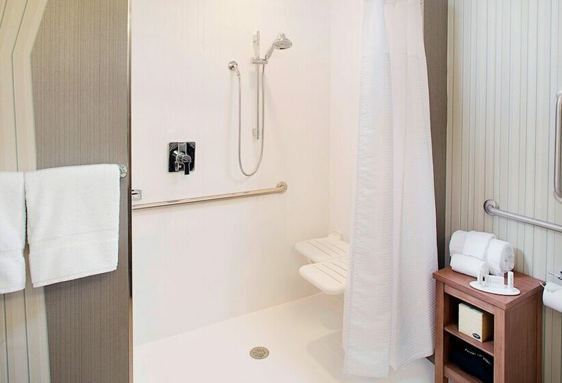 套房, Courtyard By Marriott Dallas Carrollton And Carrollton Conference Center