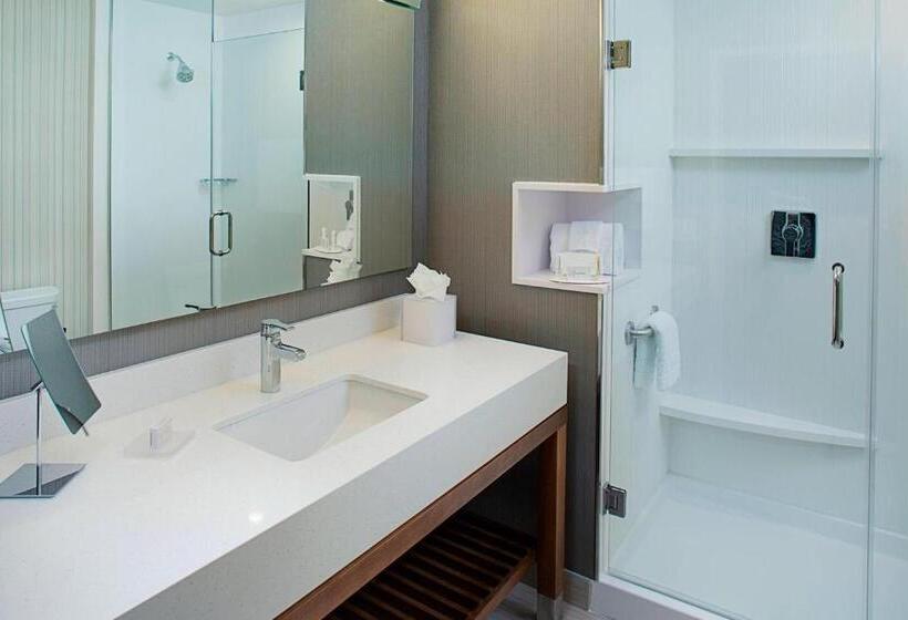 套房, Courtyard By Marriott Dallas Carrollton And Carrollton Conference Center