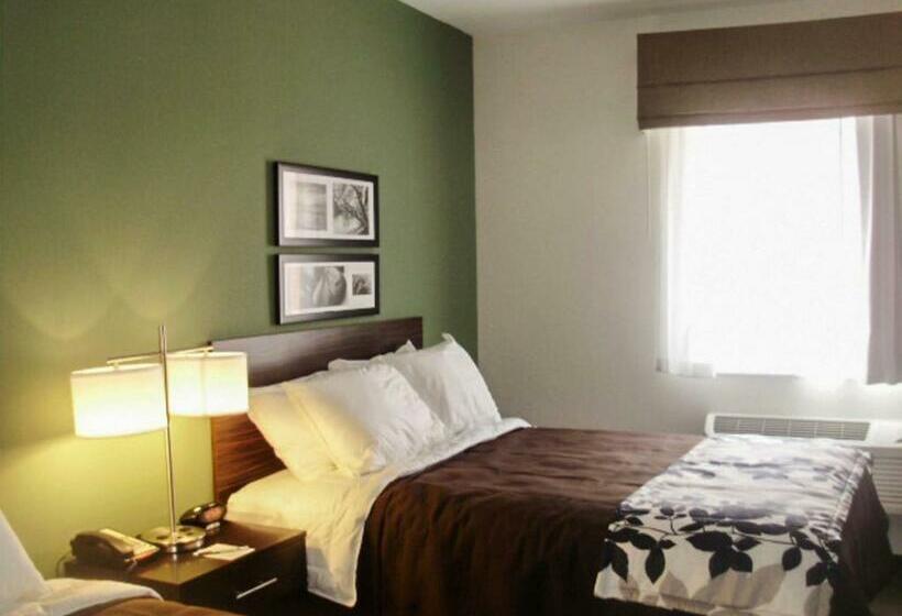 标准间, Sleep Inn & Suites East Syracuse