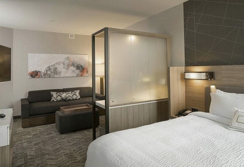 سوییت, Springhill Suites By Marriott Kalispell