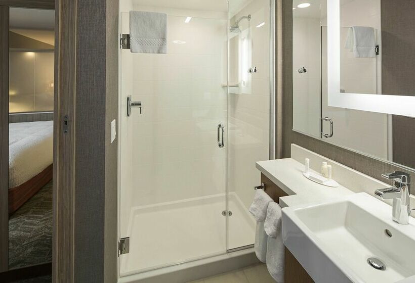 Люкс, Springhill Suites By Marriott Kalispell