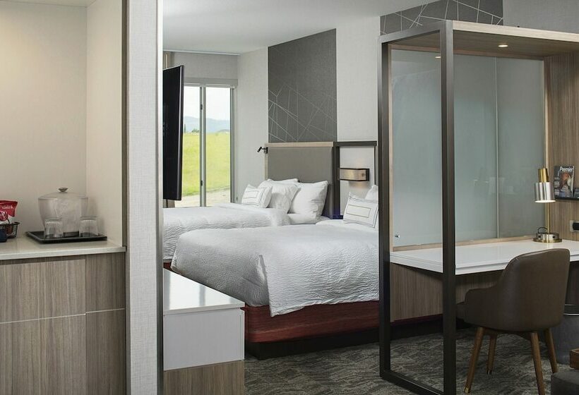 سوییت, Springhill Suites By Marriott Kalispell