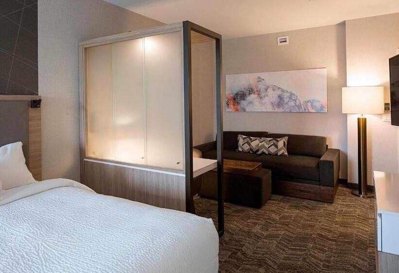 Люкс, Springhill Suites By Marriott Kalispell