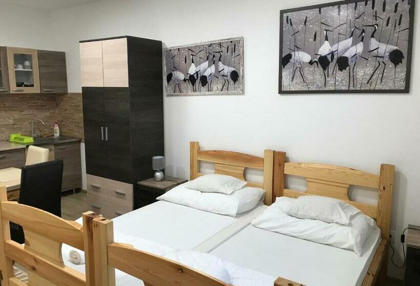 آپارتمان 1 خوابه همکف, Tó Party Apartman