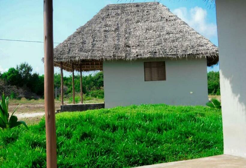 اتاق استاندارد, Mfumbwi Coast Village