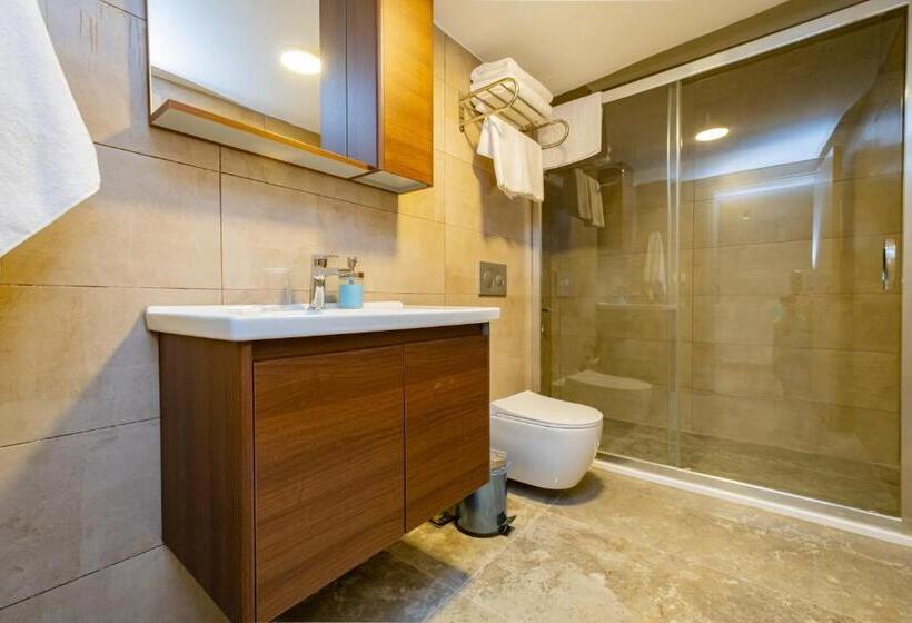 Suite with Terrace, Bd Suites