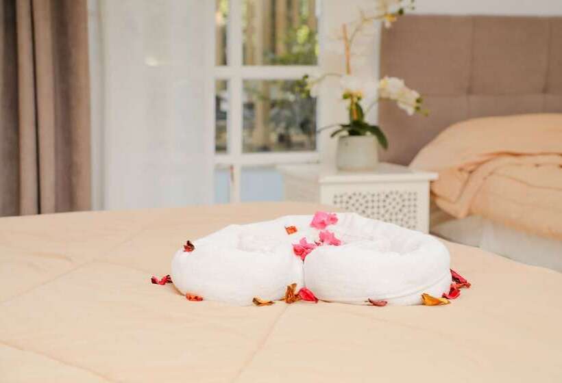 Номер Стандарт, Hôtel Gaïa