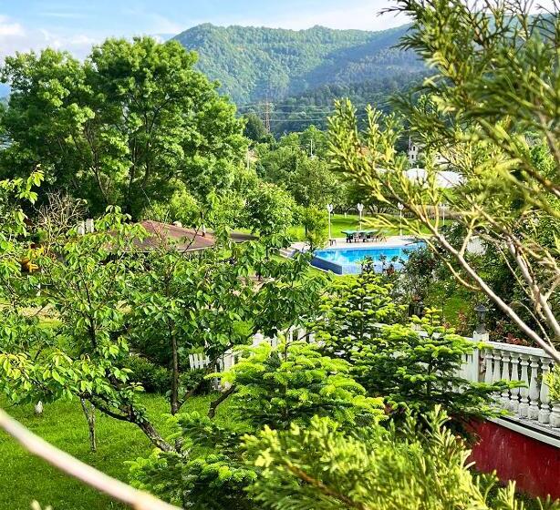 آپارتمان 1 خوابه با چشم‌انداز استخر, Beyaz Köşk Geyve