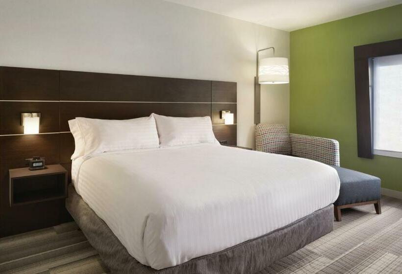 이그제큐티브 룸 킹사이즈 침대, Holiday Inn Express Atlanta Sw   Newnan, An Ihg