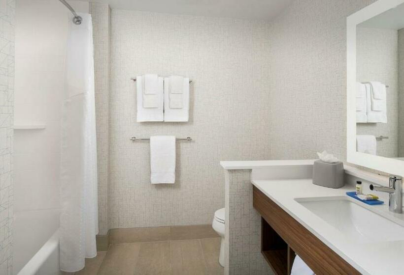 장애인을 위한 스탠다드 룸, Holiday Inn Express Atlanta Sw   Newnan, An Ihg