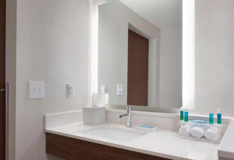 스탠다드 룸 킹사이즈 침대, Holiday Inn Express Atlanta Sw   Newnan, An Ihg