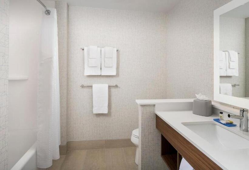 장애인을 위한 킹사이즈 침대 스탠다드 룸, Holiday Inn Express Atlanta Sw   Newnan, An Ihg