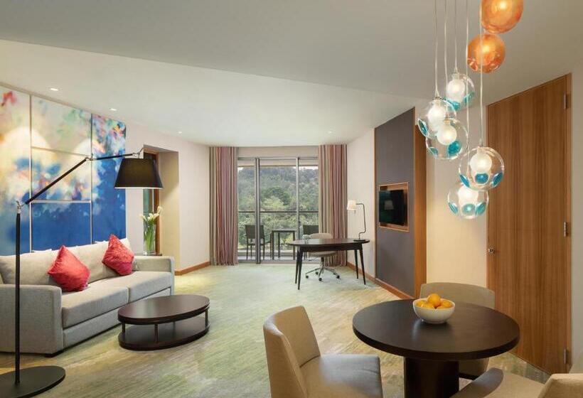 Президентский Люкс, Radisson Golf & Convention Center Batam