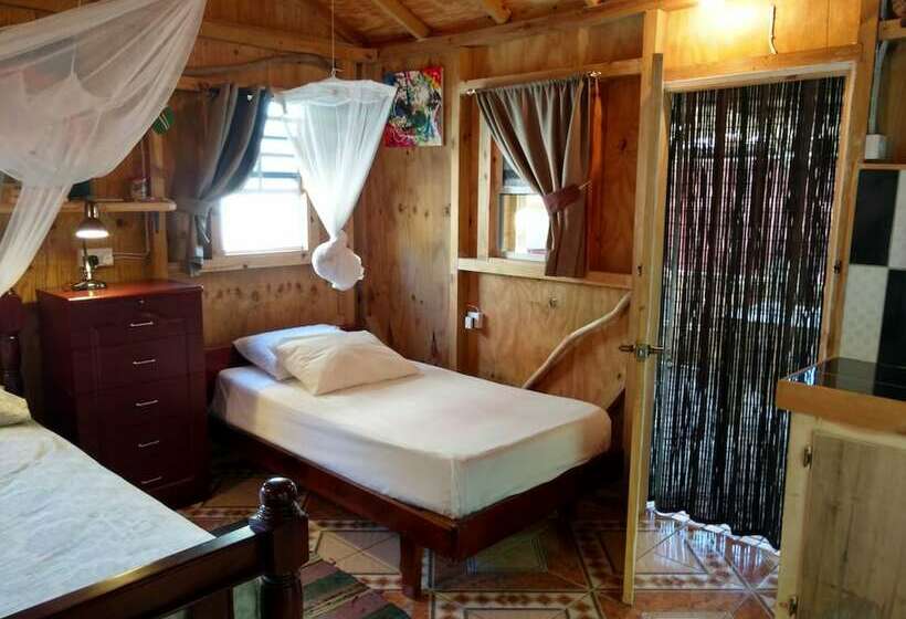 استودیوی استاندارد, Mainroad Suite