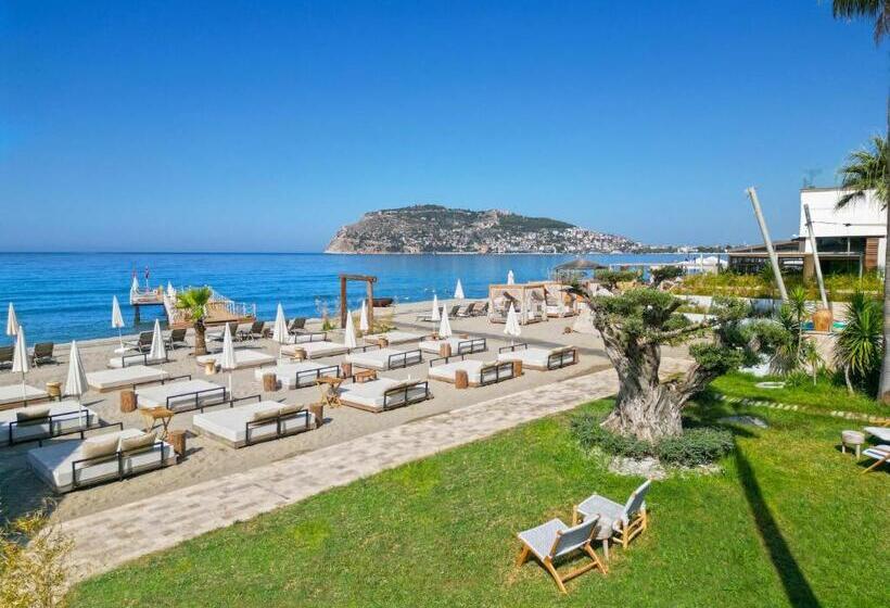 Deluxe Suite Sea View, Day One Beach Resort & Spa   Adult Only
