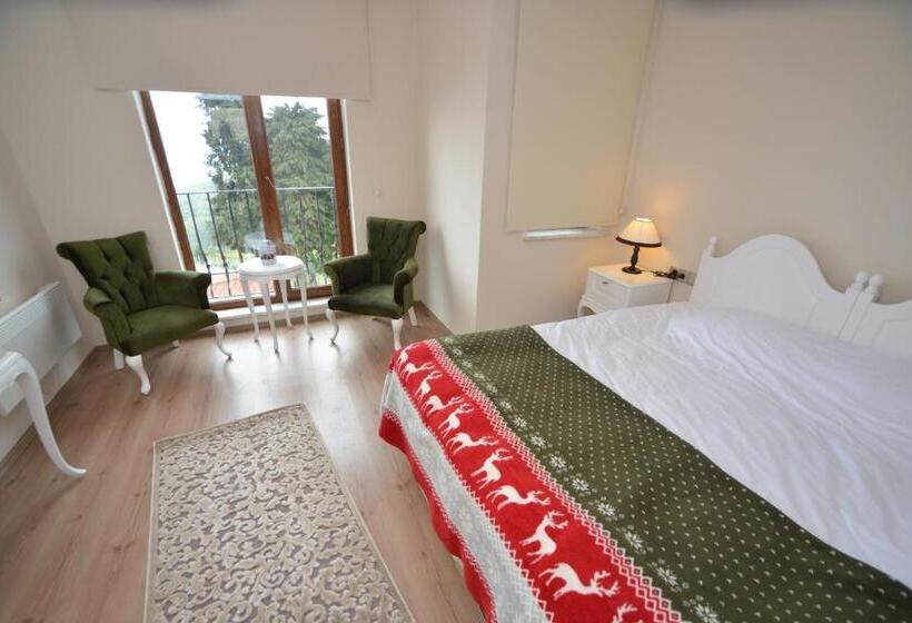 اتاق استاندارد با چشم‌انداز دریا, Akamoy Boztepe Hotel & Restaurant