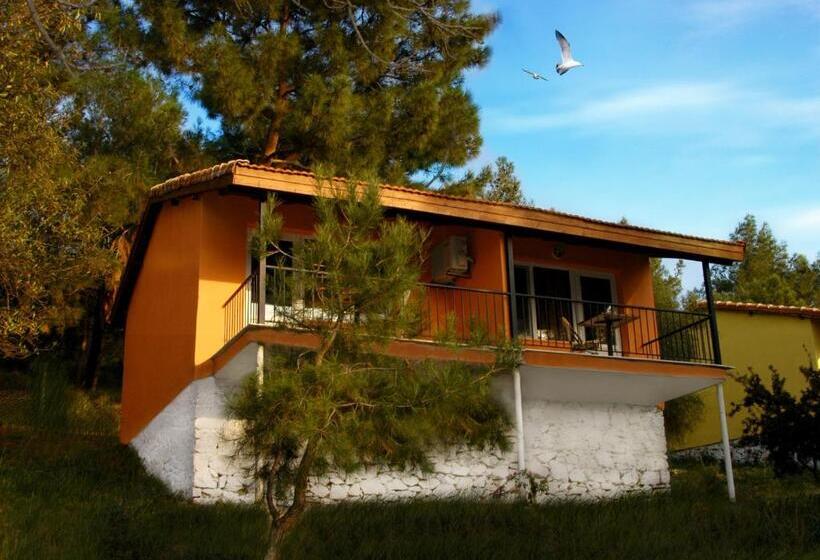Номер Стандарт, Rainbow Bay Ozdere Beach