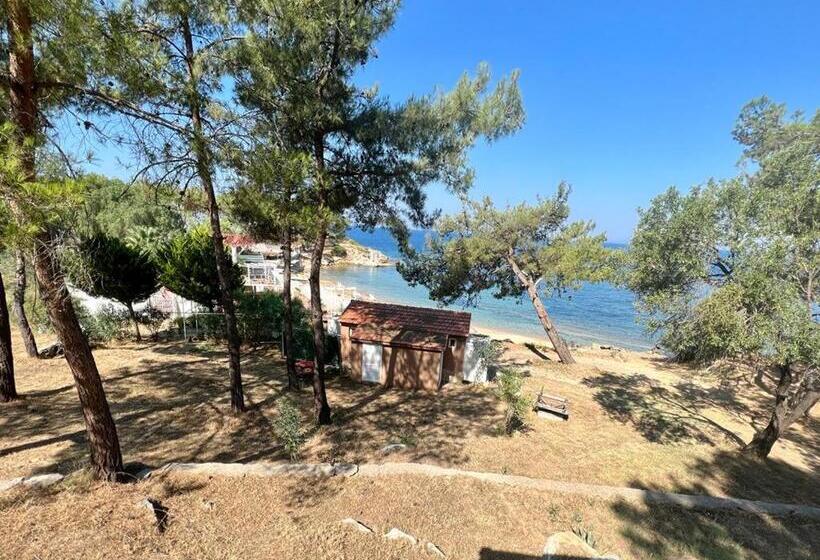 바다 전망 스위트, Rainbow Bay Ozdere Beach