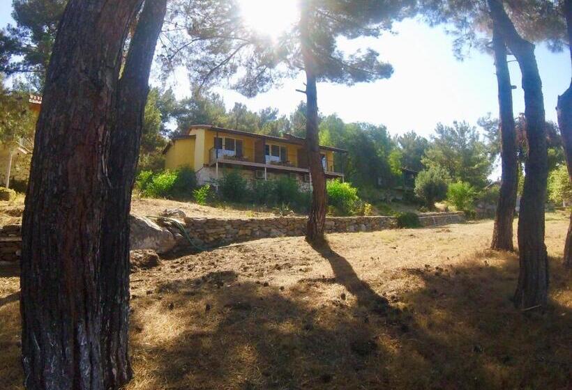 Номер Deluxe, Rainbow Bay Ozdere Beach