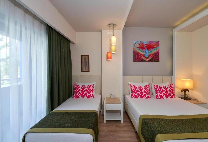 اتاق استاندارد با چشم‌انداز, Orange County Alanya