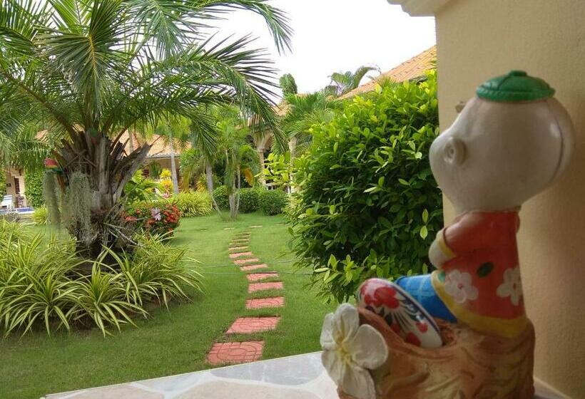 بانگلوی استاندارد, Stella Resort