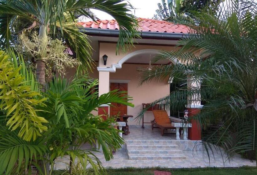 بانگلوی استاندارد, Stella Resort